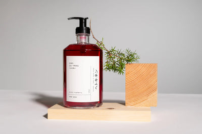 Hand Wash Arctic Cranberry